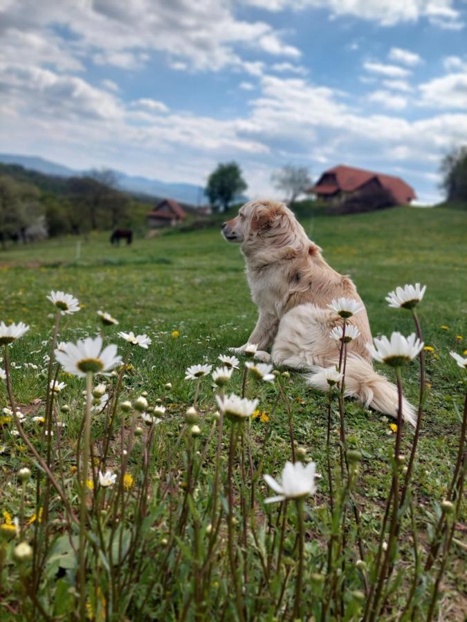 Miljana Masnec Tourist Farmヴィラ エクステリア 写真