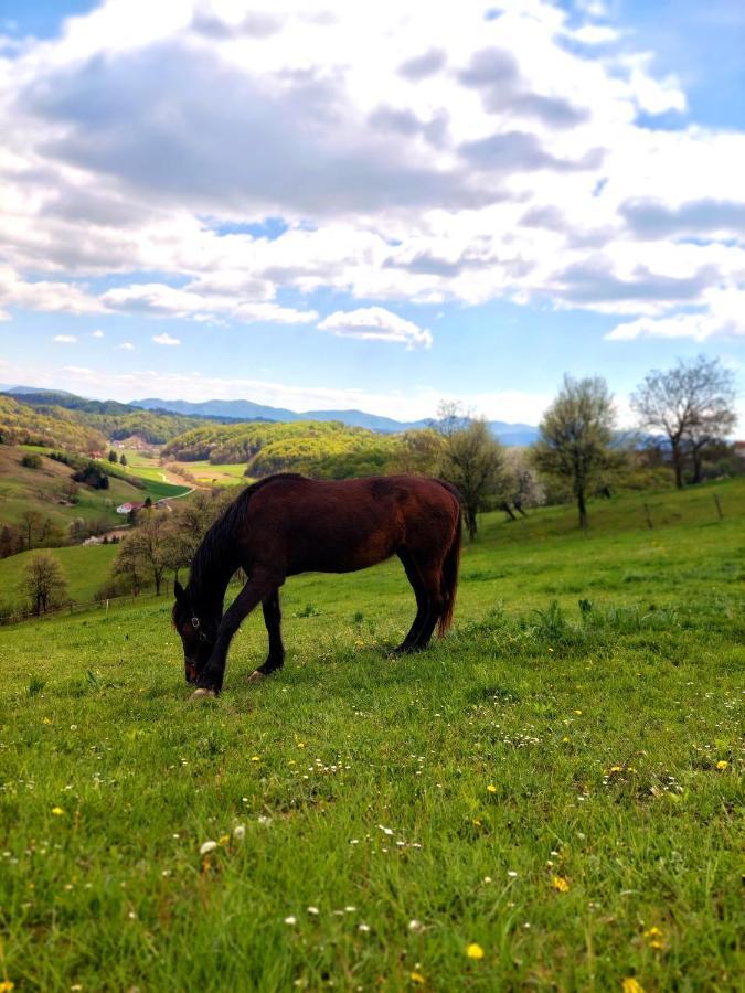 Miljana Masnec Tourist Farmヴィラ エクステリア 写真